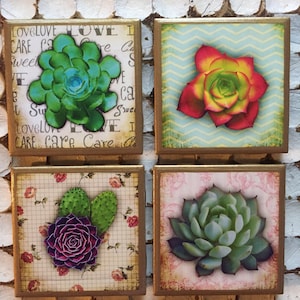 COASTERS!! Succulent coasters with gold trim