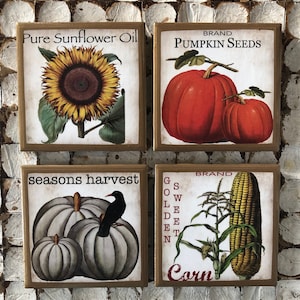 COASTERS! Fall coasters with gold trim