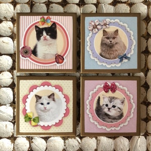 Cat Coasters: Ceramic Coasters with Gold Trim - Set of 4