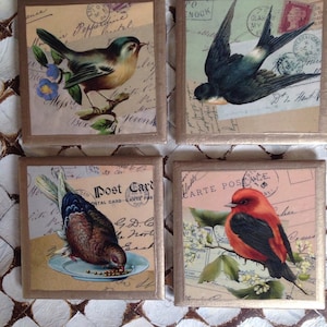 COASTERS!!! Bird coasters with gold trim