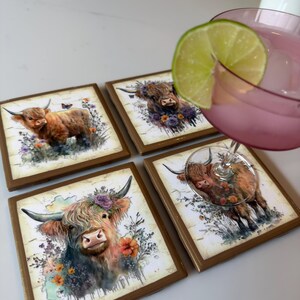 Puede incluir: Cuatro posavasos cuadrados con una ilustraci&oacute;n en acuarela de una vaca Highland con detalles florales. Un posavasos est&aacute; parcialmente cubierto por una copa con un l&iacute;quido rosa y una rodaja de lima. Los posavasos tienen un borde marr&oacute;n.