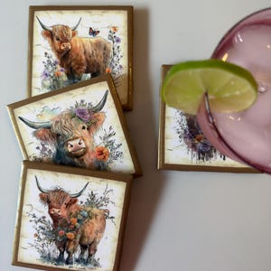 Puede incluir: Cuatro posavasos cuadrados con bordes dorados, cada uno con una ilustraci&oacute;n estilo acuarela de una vaca Highland rodeada de coloridas flores silvestres y vegetaci&oacute;n. Un posavasos est&aacute; parcialmente oculto por un vaso con una rodaja de lima.