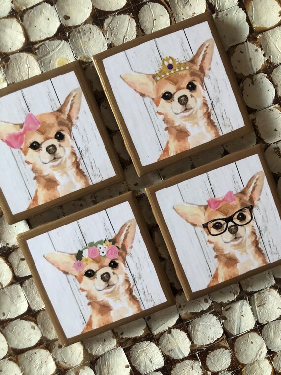 COASTERS! Chihuahua Coasters With Gold Trim