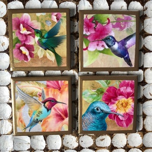 COASTERS! Hummingbird coasters with gold trim