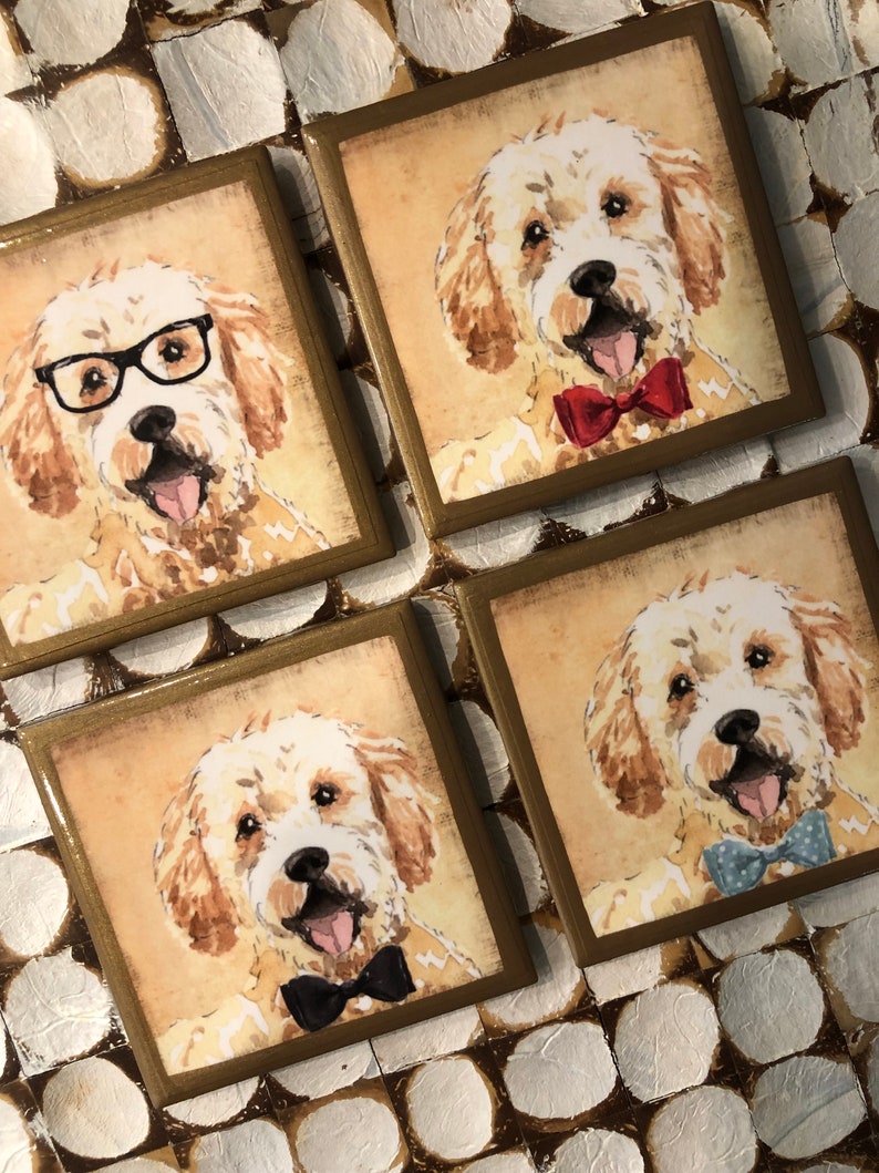Golden doodle coasters with gold trim