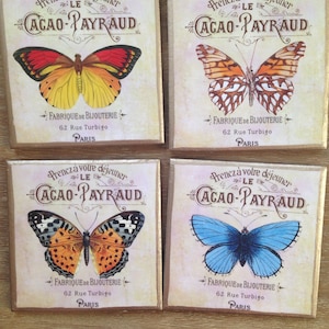 Butterfly Coasters: Ceramic Coasters with Gold Trim, Set of 4