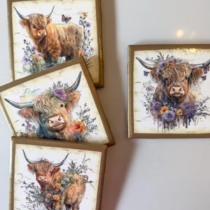 Puede incluir: Cuatro posavasos cuadrados con bordes pintados en dorado, cada uno con una ilustraci&oacute;n en acuarela de una vaca Highland. Las vacas tienen pelaje largo y marr&oacute;n, cuernos curvados y est&aacute;n rodeadas de flores silvestres y peque&ntilde;as mariposas.
