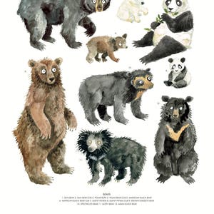 Bears, Print, A4