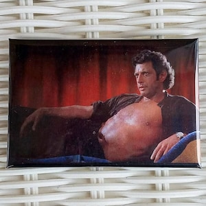 Jeff Goldblum Pillow Etsy