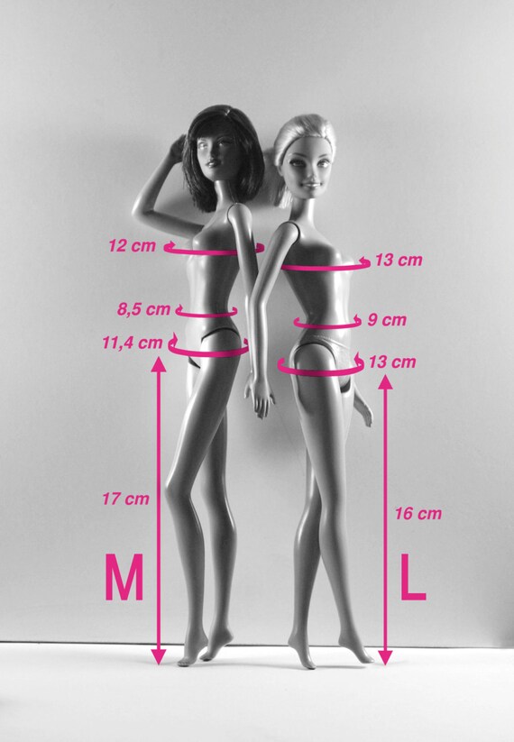 Barbie measurements hotsell in cm