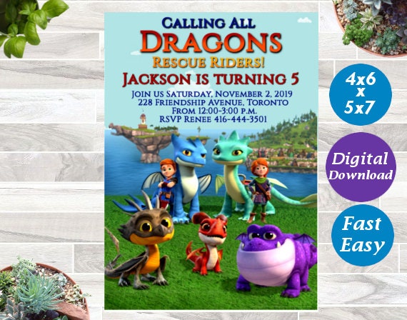 How to Train Your Dragon 2 Movie Birthday Party Invitations /& Thank You Notes