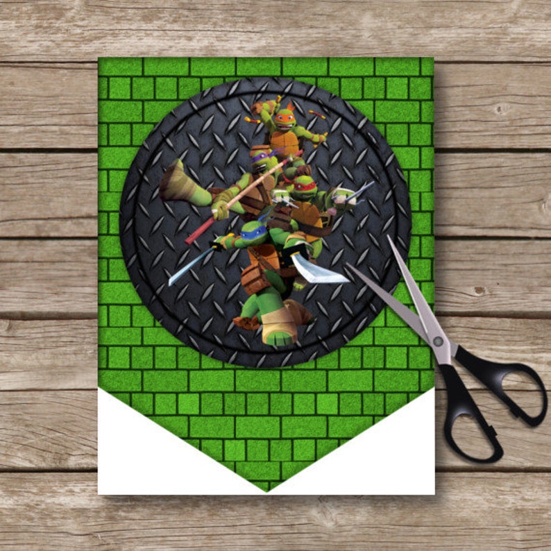 Custom Teenage Mutant Ninja Turtle Banner TMNT Printable | Etsy