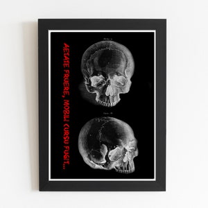 Anatomical Poster, Skull, Human Skeleton Print, Medical Print, Anatomy Chart, Antique Anatomy DIGITAL DOWNLOAD