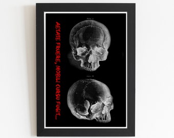 Anatomical Poster, Skull, Human Skeleton Print, Medical Print, Anatomy Chart, Antique Anatomy DIGITAL DOWNLOAD