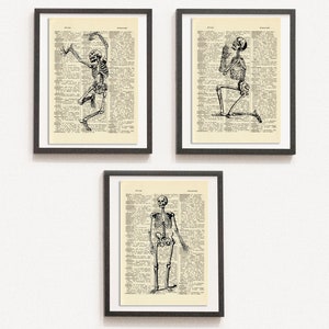 Print Set of 3 Anatomical Poster, Human Skeleton Print, Medical Print, Dictionary Art Print, Drawn Illustration,DIGITAL DOWNLOAD