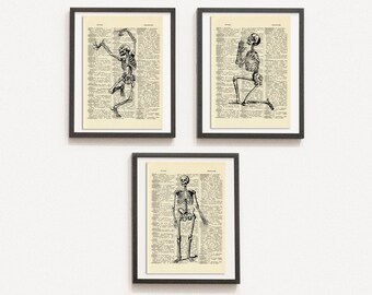 Print Set van 3 Anatomische Poster, Menselijk Skelet Print, Medische Print, Woordenboek Art Print, Getekende Illustratie, DIGITALE DOWNLOAD
