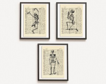 Print Set of 3 Anatomical Poster, Human Skeleton Print, Medical Print, Dictionary Art Print, Drawn Illustration,DIGITAL DOWNLOAD