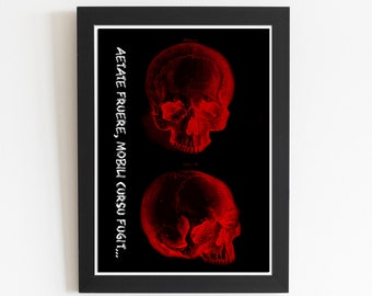 Anatomisk poster, skalle, mänskligt skeletttryck, medicinskt tryck, anatomidiagram, antik anatomi DIGITAL NEDLADDNING