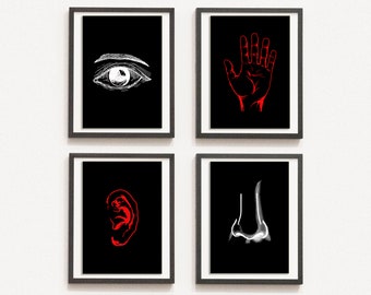Print Set of 4 Eye, Nose, Hand, Nose Print, Anatomical Illustration,  Art, Medical Print, Drawn Illustration, DIGITAL DOWNLOAD