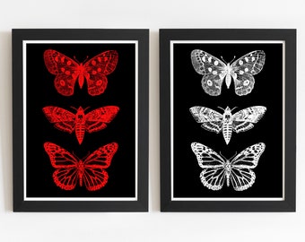 Print Set of 2 Butterfly Print, Butterfly Illustration, Butterfly Art, Butterfly Poster, Drawn Illustration, DIGITAL DOWNLOAD