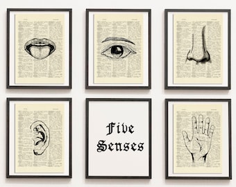 Print Set of 5 Five Senses Anatomical Poster, Human Senses Print, Medical Print, Dictionary Art Print, Drawn Illustration,DIGITAL DOWNLOAD