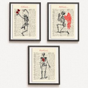 Print Set of 3 Anatomical Poster, Human Skeleton Print, Medical Print, Dictionary Art Print, Drawn Illustration,DIGITAL DOWNLOAD