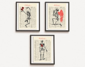 Print Set of 3 Anatomical Poster, Human Skeleton Print, Medical Print, Dictionary Art Print, Drawn Illustration,DIGITAL DOWNLOAD