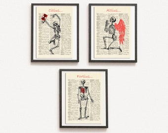 Print Set van 3 Anatomische Poster, Human Skeleton Print, Medische Print, Dictionary Art Print, Getekende illustratie, DIGITALE DOWNLOAD