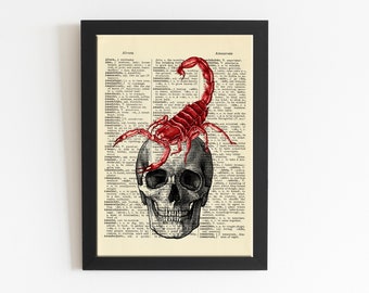 Skull met Scorpion, Human Skull, Scorpio, Dictionary Art Print, Drawn Illustration, DIGITALE DOWNLOAD