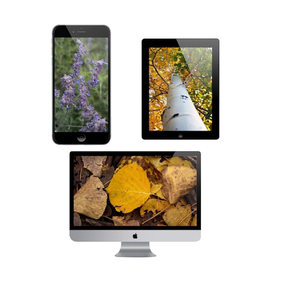 Download Free Mockups Iphone Mockup Free For Commercial Use Psd