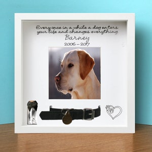Dog collar memorial frame top