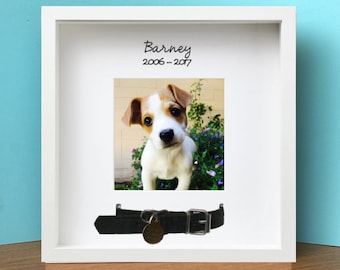 dog collar picture frame