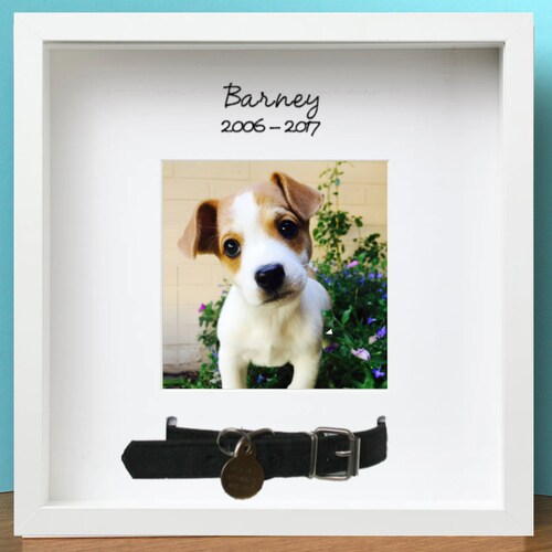 Personalised Pet Loss Memorial Photo Frame for Dog Cat Collar Etsy