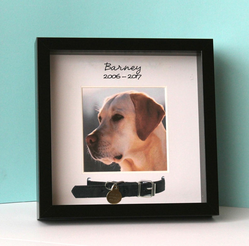 Pet Dog Cat Collar Personalised Memorial Photo Frame Black Image 0