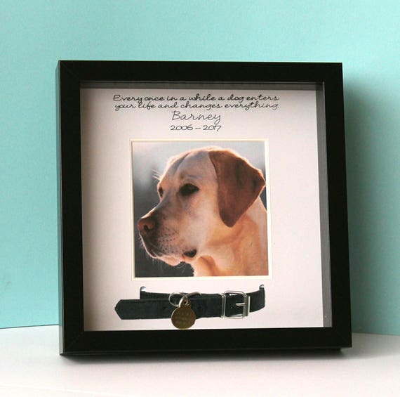 Dog Collar Photo Frame PetsWall