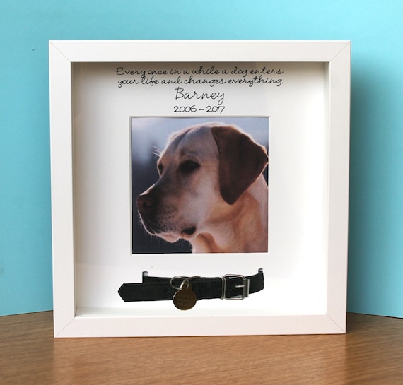 dog memorial with collar