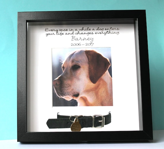 dog collar picture frame