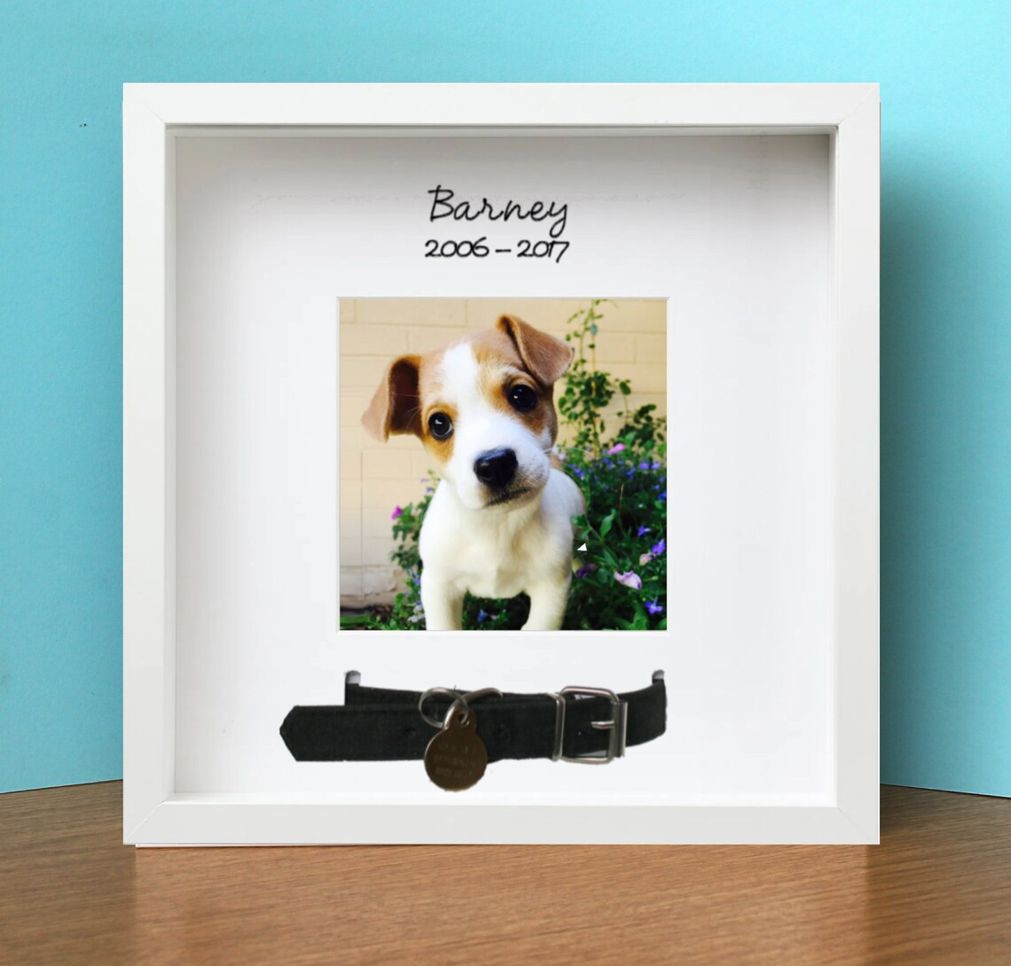 Pet Dog Cat Collar Personalised Memorial Photo Frame White Etsy UK