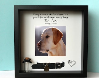 Personalised pet loss memorial photo frame for dog cat collar ashes urn. Remembrance bereavement keepsake gift glass bottle