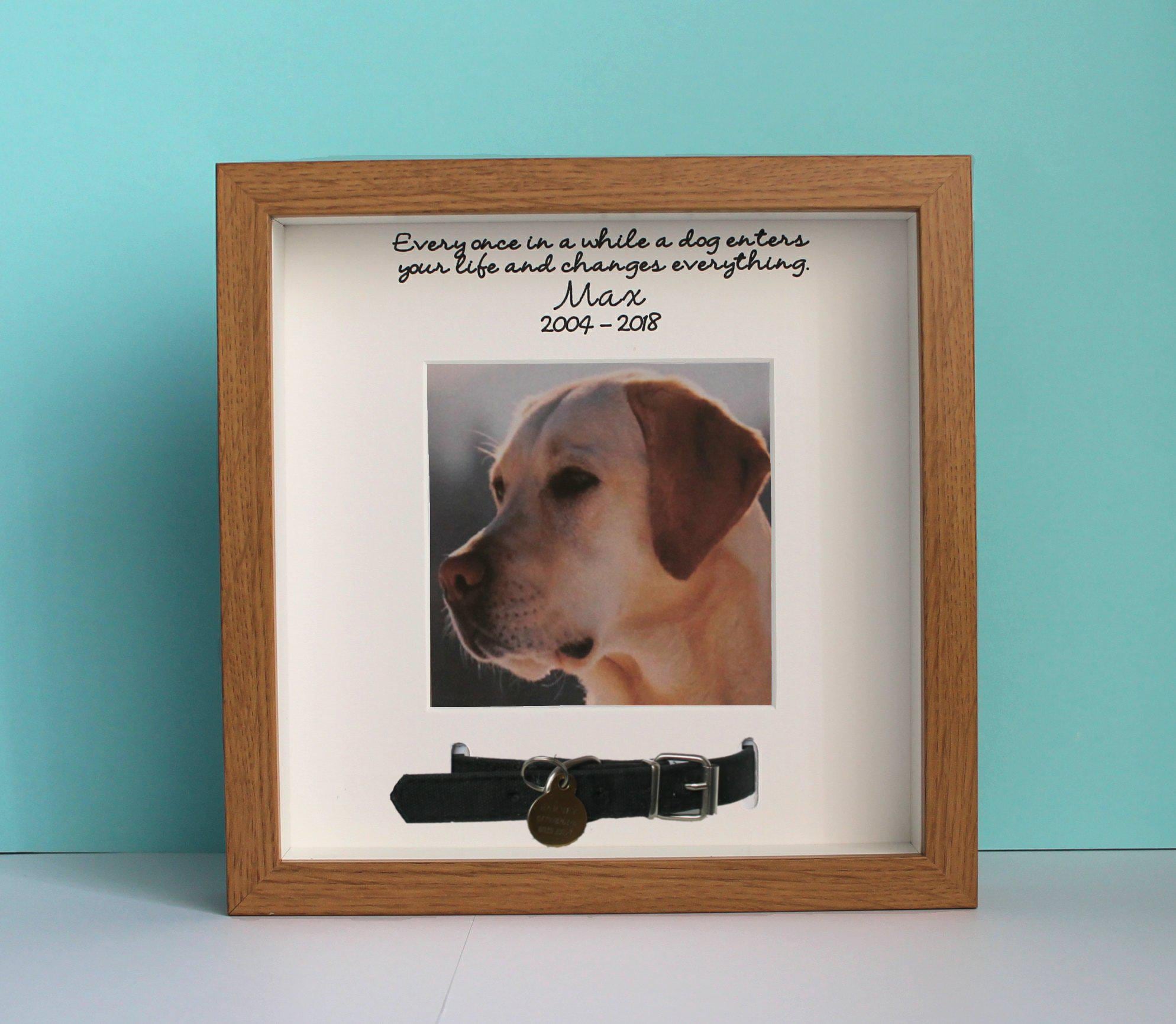 Personalised Pet Memorial Frame - Photo Frame for Pet Dog or Cat Collar ...
