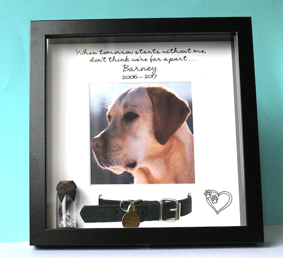 Dog Collar Photo Frame PetsWall