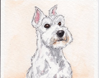 Retrato de mascota 4x6