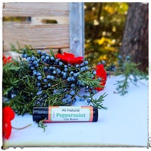 Peppermint All Natural Lip Balm, Handmade Lip Balm, Essential oil Lip Balm, Chap Stick