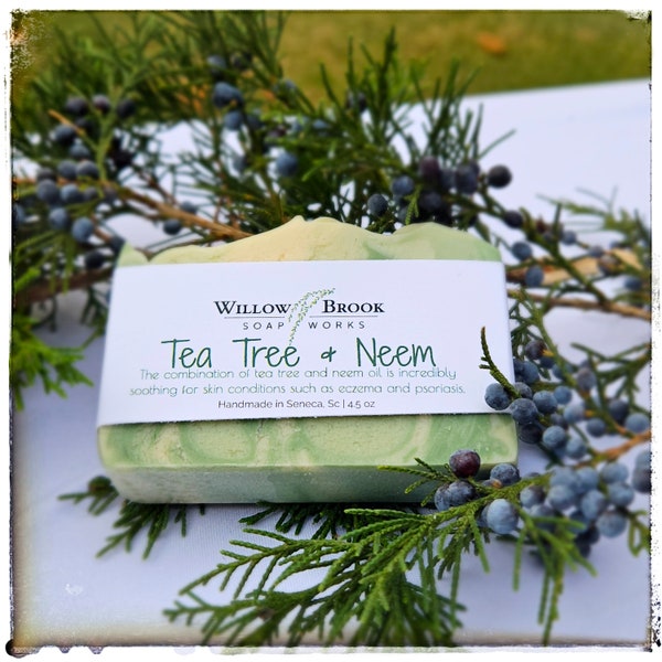 Tea Tree and Neem Cold Process Soap, Handmade