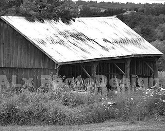 Farm Shed photograph rural Ontario black and white photo