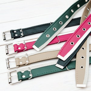 Vegan Belt for Women Vegan Leather Belt Colorful Belt Black - Etsy