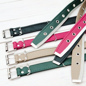 vegan belt women's