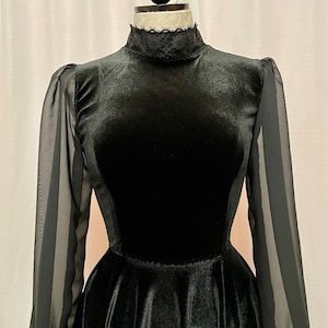 May include: A black velvet dress with sheer long sleeves and a high neck. The dress has a fitted bodice and a full skirt.