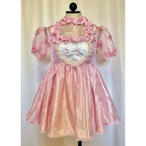 The Melanie Dress- Pink Crinkled Taffeta Babydoll Dress: Embroidered Tulle Sleeves