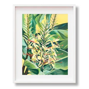 Kahili Ginger Plant Print, Yellow Ginger Kauai Flower, Hawaii Artist